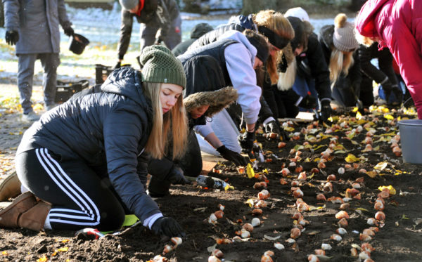 Students participating in Service Day